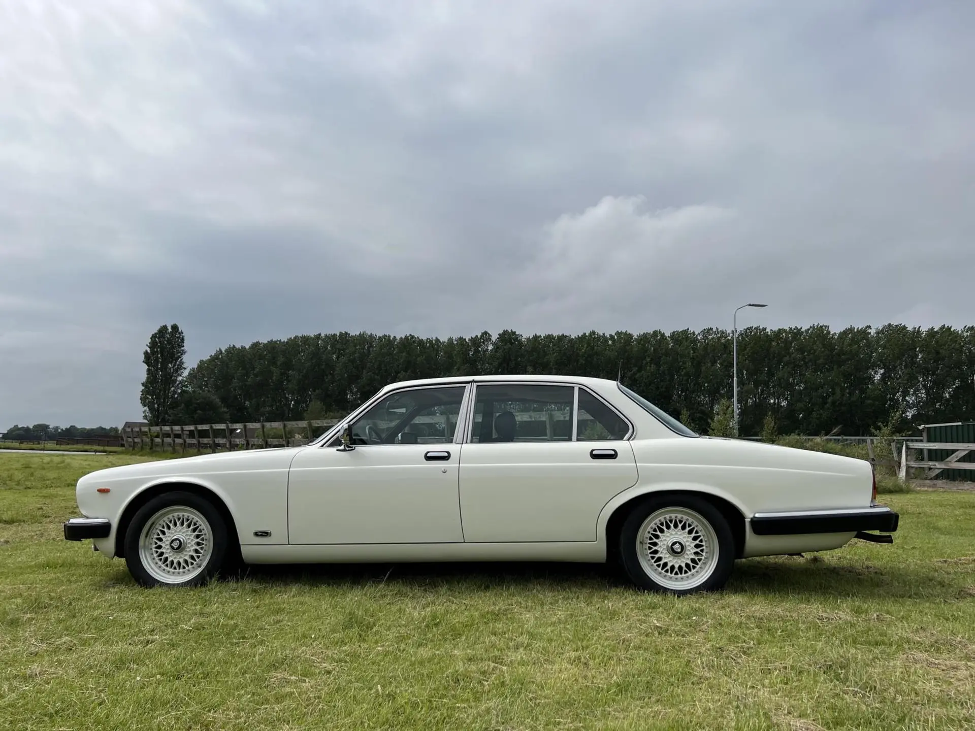 Jaguar Sovereign