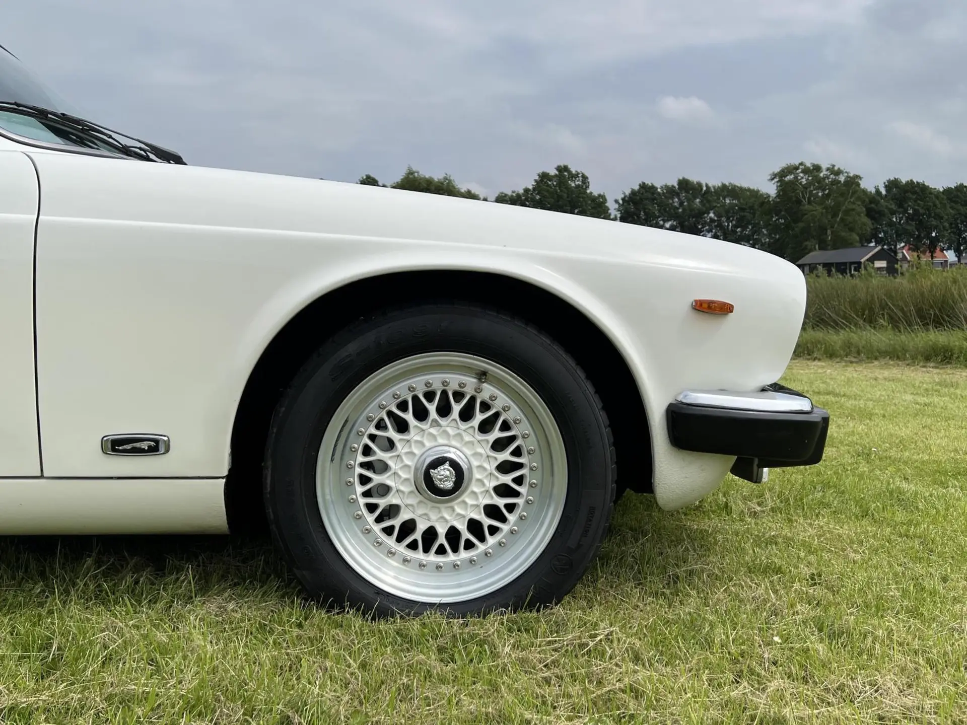 Jaguar Sovereign